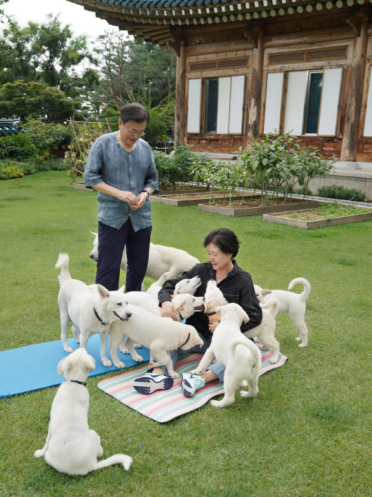 지난 2021년 9월1일 문재인 당시 대통령이 북한 김정은 국무위원장으로부터 받은 풍산개 '곰이'와 '송강' 사이에서 태어난 강아지들 근황을 전한 페이스북 게시물에 함께 올린 사진. 문재인 전 대통령 공식 페이스북 계정 사진 갈무리